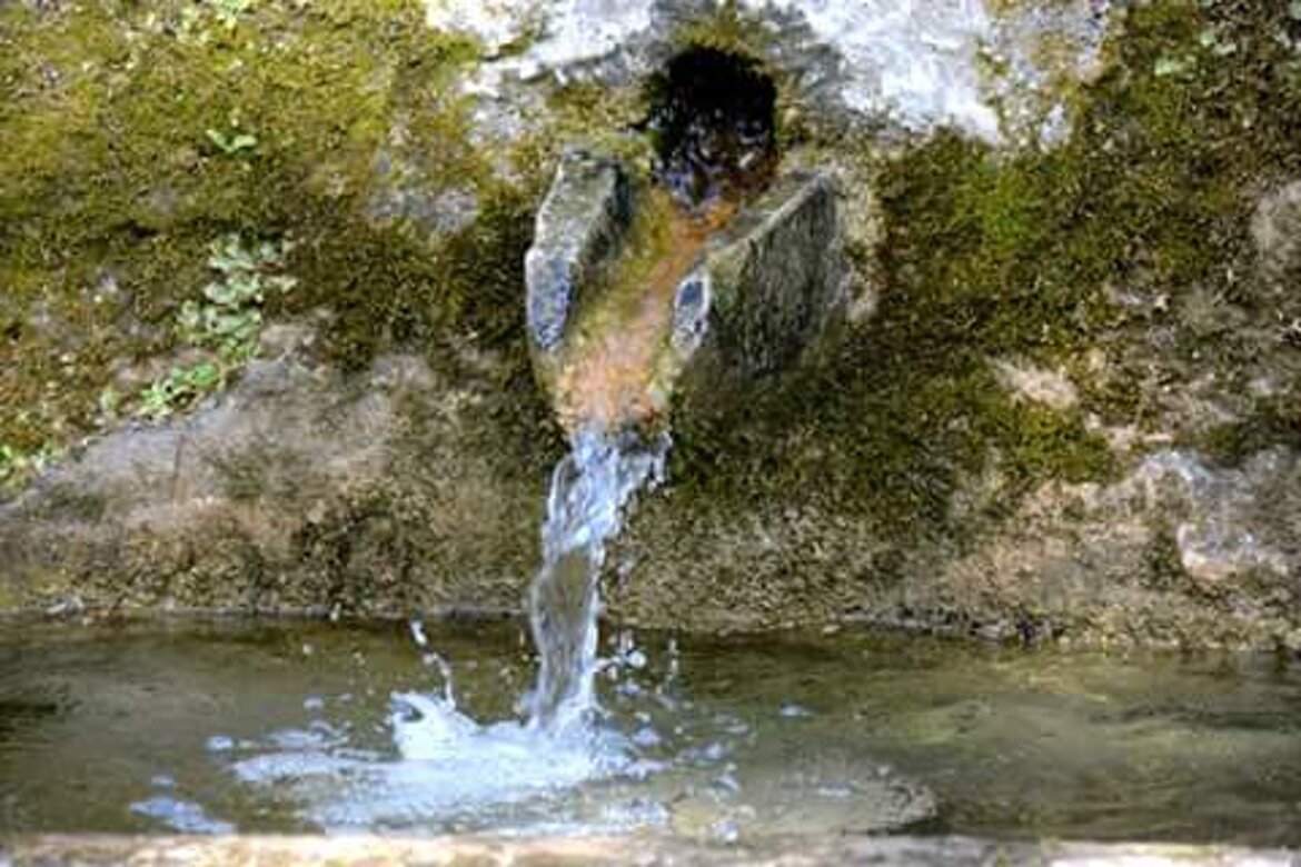 5360e203-087d-4ca3-ad81-84ad1d3fb9a5