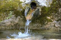 5360e203-087d-4ca3-ad81-84ad1d3fb9a5