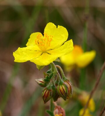 48777963-06ee-4832-90a3-2da6f4e6bed4