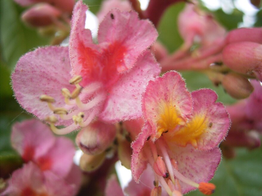 55029f0d-3213-4cf3-8c7f-a88cb28e1b92