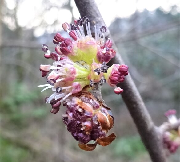 25c00a4c-abcd-45ad-9521-671f4dda85e1