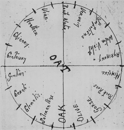 45bbdcd1-be26-40d2-ba60-8668378270cc