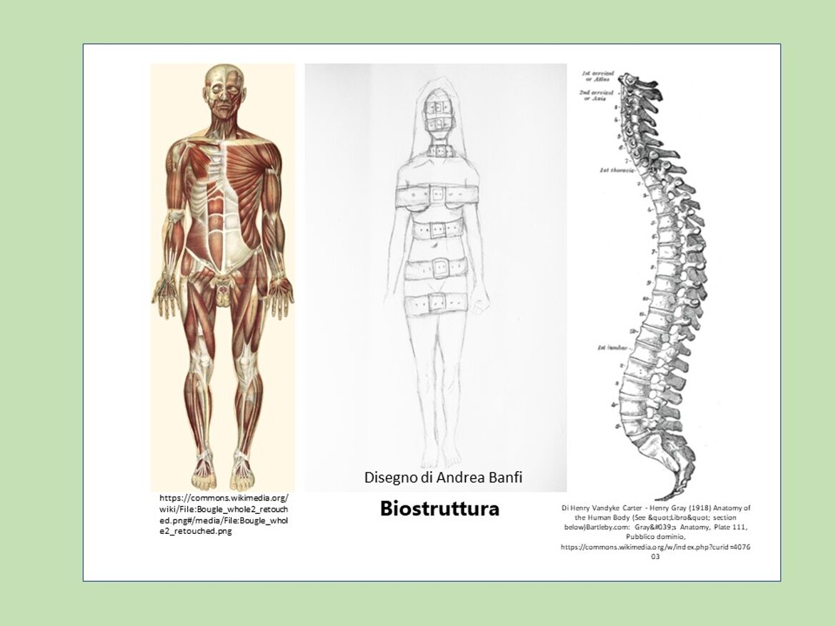 6baaf39c-7fb5-4b7a-825b-c8c4cc5416ad