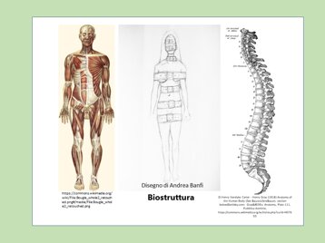 6baaf39c-7fb5-4b7a-825b-c8c4cc5416ad