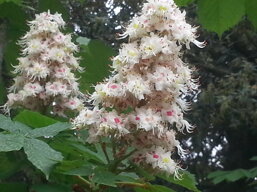 bdcde340-e7e2-4f98-aa6c-3c1b0311ea9b