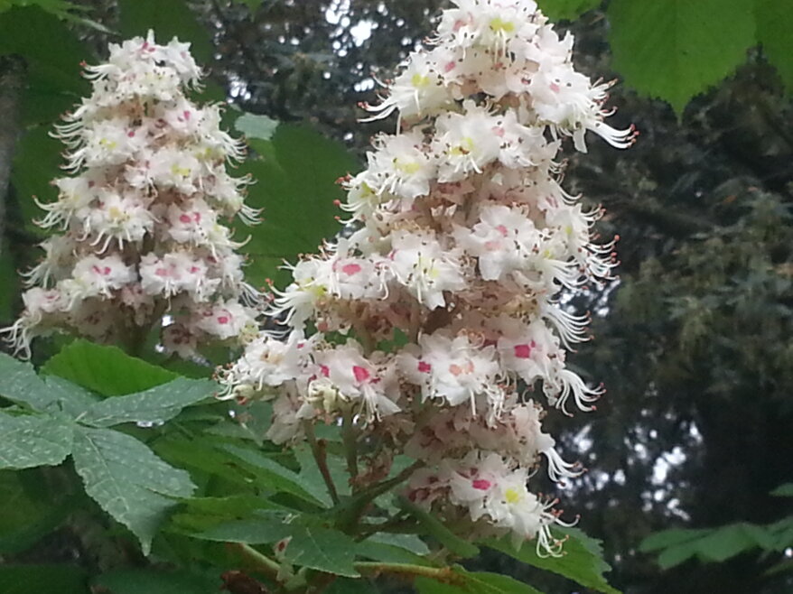 bdcde340-e7e2-4f98-aa6c-3c1b0311ea9b