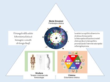 9ae12b4a-6e86-4912-933e-c0906043bbcd