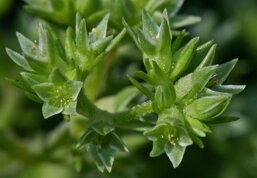 8b4d57f2-184e-4c34-a882-076e452d06be