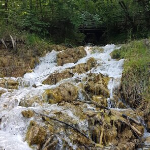 FONTI DI POIANO