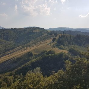 Sentiero direzione Canossa