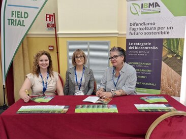 bbe06e264d0bbf3afb2c63b113ccdd00c055fd9a