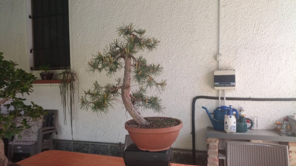 05f24e806839ad86419c55df0fe0398c0d722730