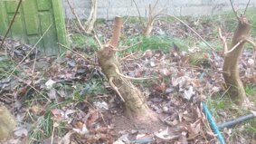 img_20240114_141846.jpeg img_20240114_141846.jpeg