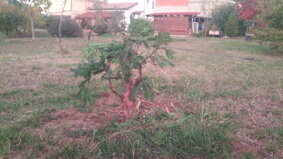 img_20221106_165932.jpeg img_20221106_165932.jpeg