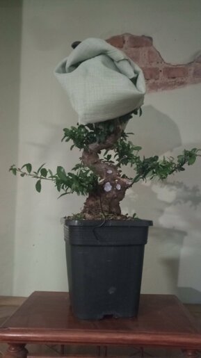 img_20231112_082523.jpeg