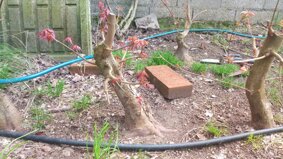 img_20240317_141829.jpeg img_20240317_141829.jpeg