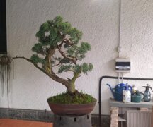 APRILE 2024 GINEPRO BLU