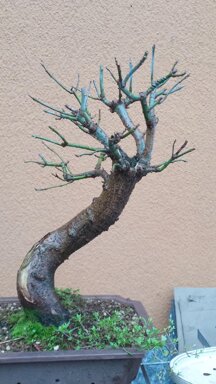 RACCOLTO NEL 2014