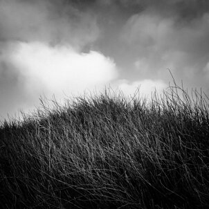 46cc8f54-79c4-4452-aacd-4d51c86e9e4b.jpeg 46cc8f54-79c4-4452-aacd-4d51c86e9e4b.jpeg