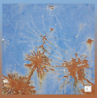 fioriscono disgregazioni-1.jpeg fioriscono disgregazioni-1.jpeg