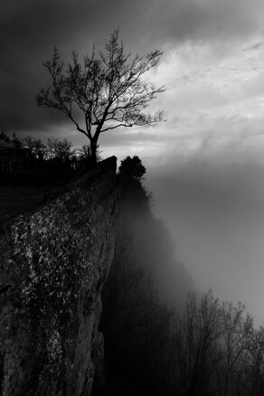 sonia berardiweb.jpeg sonia berardiweb.jpeg