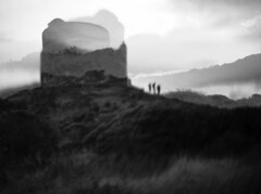 luisa montagna la_torreweb.jpeg luisa montagna la_torreweb.jpeg