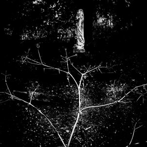 083af799-7265-4947-9b10-07472f3a1aa4.jpeg 083af799-7265-4947-9b10-07472f3a1aa4.jpeg