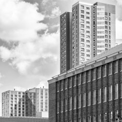 frott_skyline
