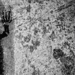 4734ce8d-e60b-409f-be21-1c3258cb9538.jpeg 4734ce8d-e60b-409f-be21-1c3258cb9538.jpeg