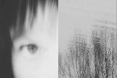 marzia francesconi dittico_1web.jpeg marzia francesconi dittico_1web.jpeg