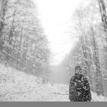 Ida Di Pasquale THE SOUND OF SILENCE