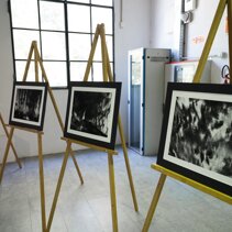 Mostra Sala Nagasawa