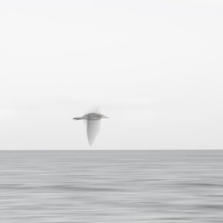 2 arte di non vedere.jpeg 2 arte di non vedere.jpeg