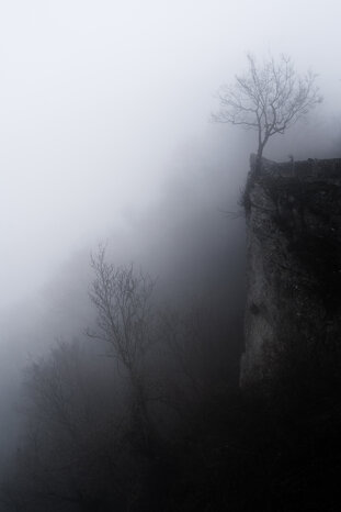 sonia berardi 2 web.jpeg sonia berardi 2 web.jpeg