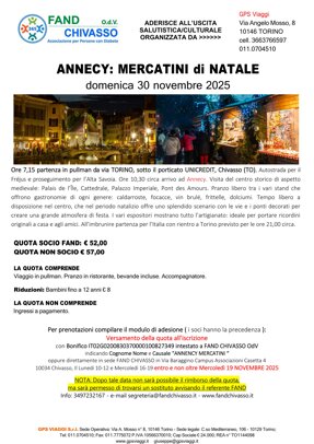 5 - annecy mercatini di natale 30 novembre 2025.jpeg