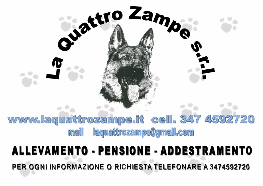 tabella esterna paola.jpeg