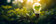 f322ed087af076f4084cb94594a54d5a28901a29.jpeg