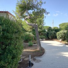 Ingresso Villa, parcheggio auto