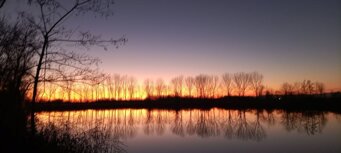 039dcb702d3c6f48319bc119e808d8e1b1547572