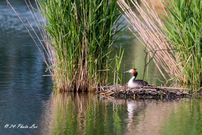 49c00e326d6d5c3e1f97d7a90dc4f0e96536e609