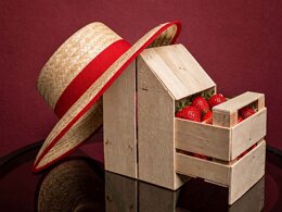 fruit packaging design, cassetta frutta design, metapontino cassette design, souvenir metapontino, souvenir basilicata, souvenir policoro, cassette fragole design, packaging fragole policoro, casa colonica packaging design, casalino packaging design, fiera agricola allestimento design, fiera agricola visual design, architettura rurale metapontino, designer policoro, comunicazione visual agricoltura, set fotografici design agricoltura, storia agricoltura basilicata, agricoltura e design basilicata, riciclo legno design, recycled wood design, riciclo cassetta della frutta design, floriana pastore packaging design