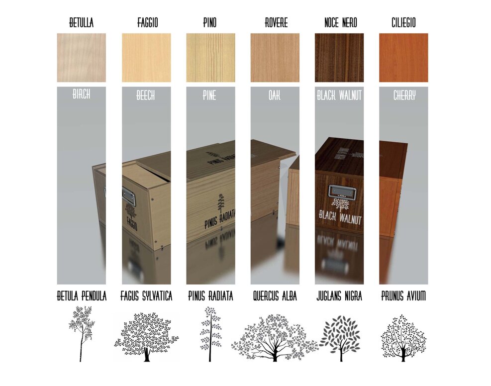 floriana pastore product designer, floriana pastore product design, floriana pastore illustrations, dote design box, dote wooden box, design basilicata, designer basilicata, design tradizione basilicata, wooden boxes design, trees infographic designer, trees illustrations, prodotto per organizzare la casa con design, design per valorizzare il legno, wood enhancement product design