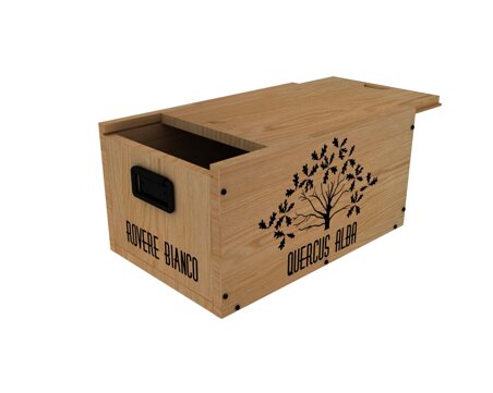 floriana pastore product designer, floriana pastore product design, floriana pastore illustrations, dote design box, dote wooden box, design basilicata, designer basilicata, design tradizione basilicata, wooden boxes design, trees infographic designer, trees illustrations, prodotto per organizzare la casa con design, design per valorizzare il legno, wood enhancement product design