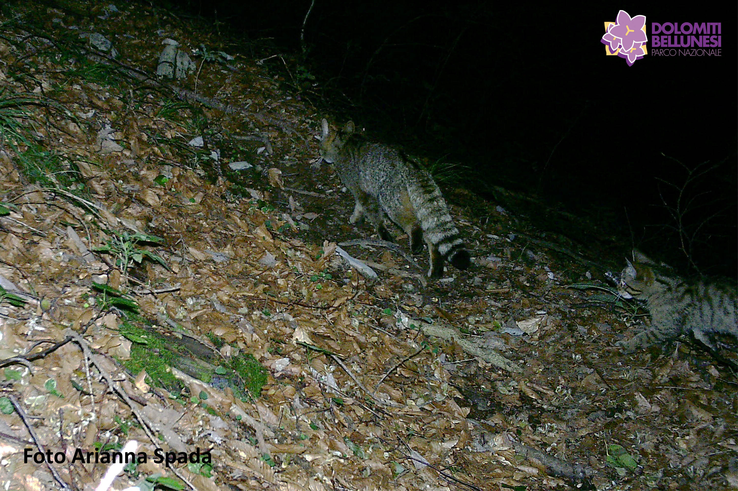 f4ffb5f4-a2de-4346-8779-f6d16080f2e8-963233802.jpg f4ffb5f4-a2de-4346-8779-f6d16080f2e8-963233802.jpg