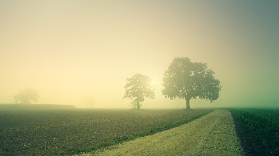 Ricordi la nebbia? Era persistente in Val padana Ricordi la nebbia? Era persistente in Val padana