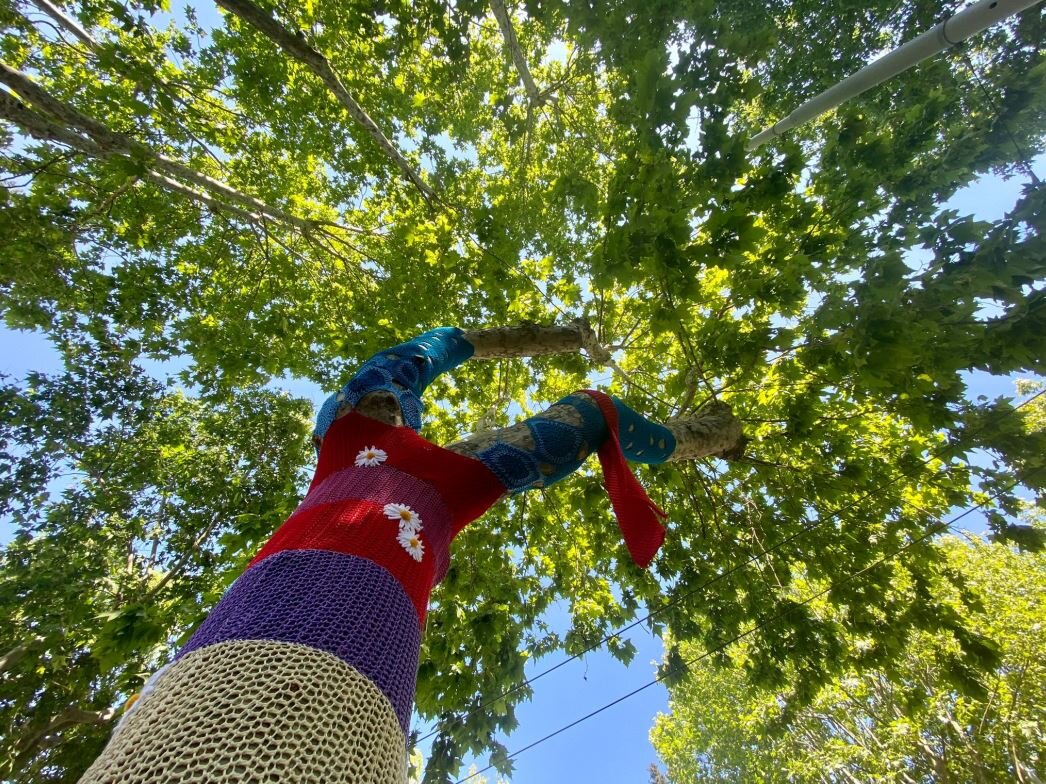 Roma, un albero colorato per Rino Gaetano Roma, un albero colorato per Rino Gaetano