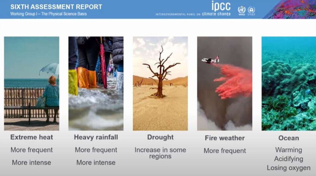 Clima, l'allarme degli scienziati Onu: Co2 al massimo da due milioni di anni, pianeta a rischio Clima, l'allarme degli scienziati Onu: Co2 al massimo da due milioni di anni, pianeta a rischio