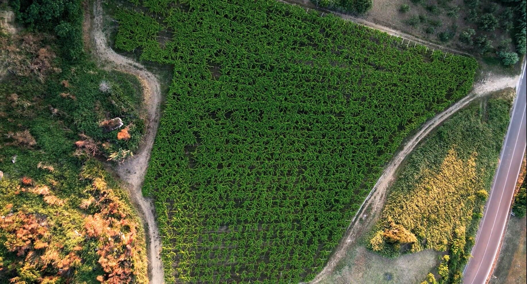 c0f39f7ec3635b16b957616cb1c97eb0b7d27b7f.jpg c0f39f7ec3635b16b957616cb1c97eb0b7d27b7f.jpg