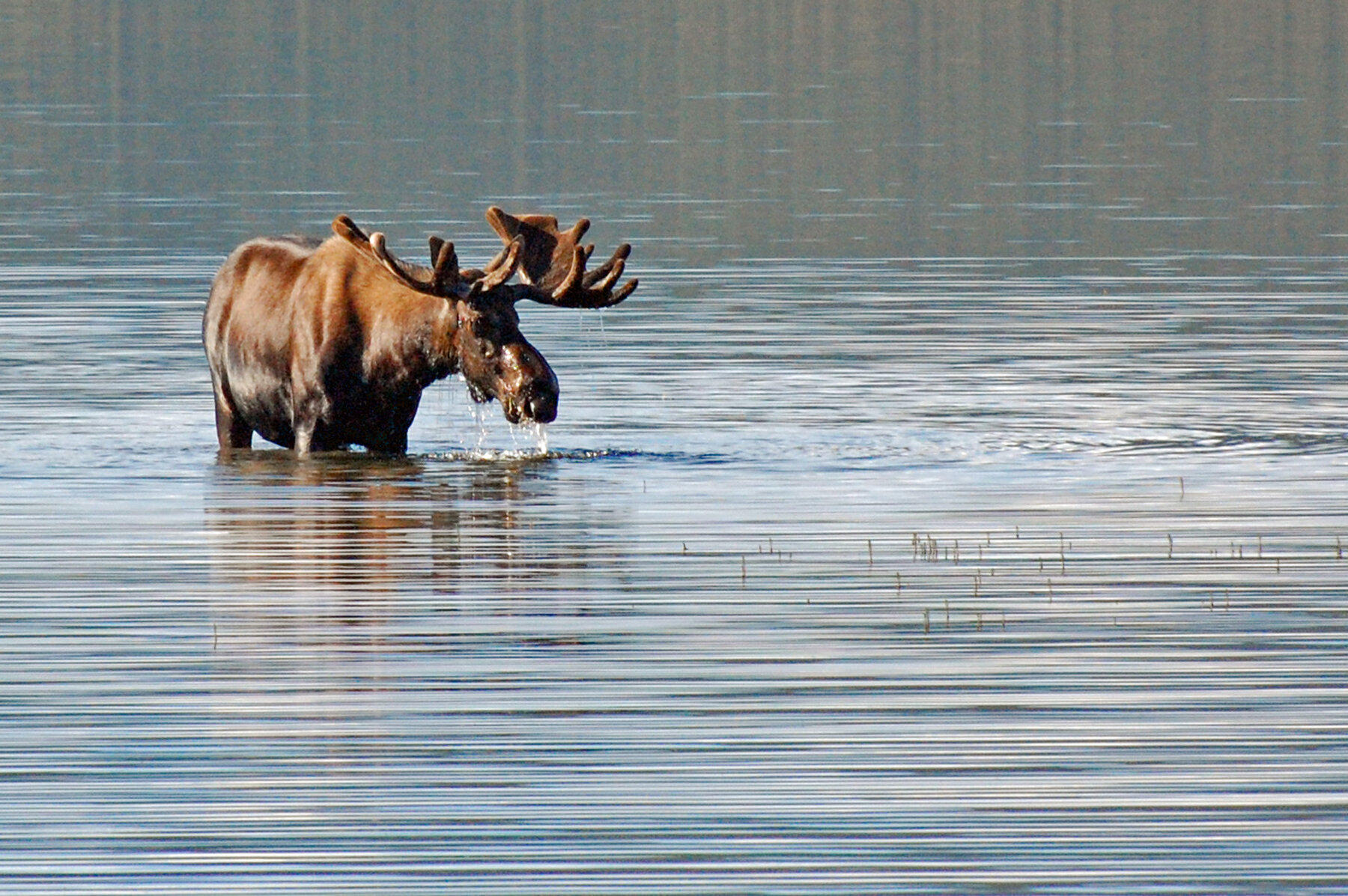 Alaska, l'ultima Frontiera / 2