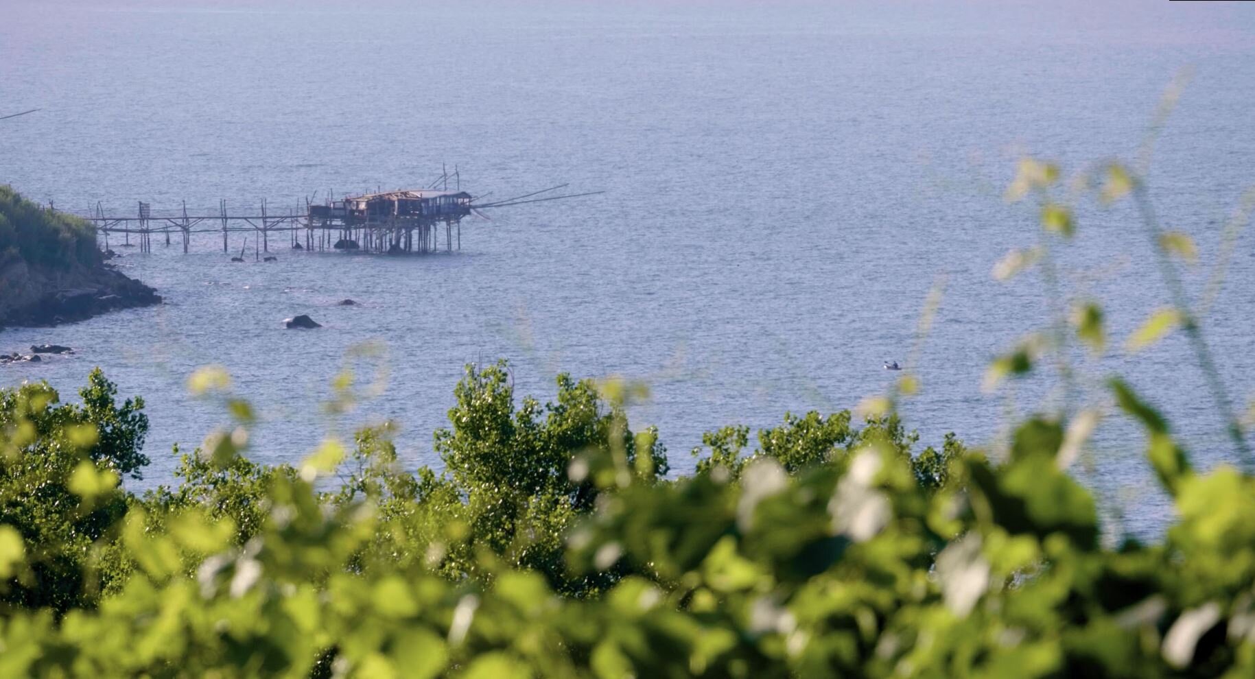 d7b1fe2f46a06148862a18e5a910c9bddfac4c69.jpg d7b1fe2f46a06148862a18e5a910c9bddfac4c69.jpg